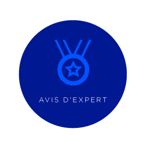 icone avis d'expert